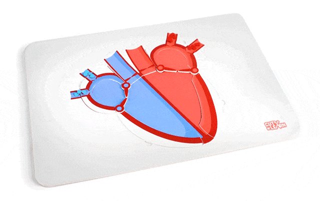 Жүрөктүн согушу