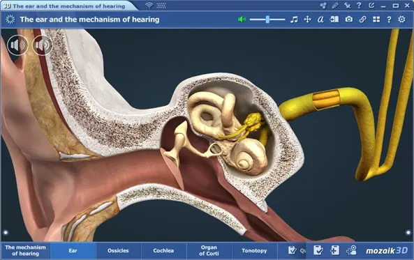 Санариптик инновациялык чечимдер