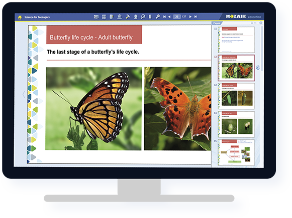 mozaWeb менен бөлүшүү, синхрондоштуруу
