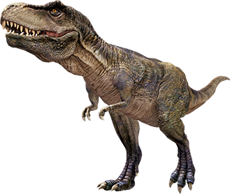 Презентациялар үчүн колдонуу