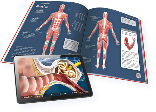 3D энциклопедиялар