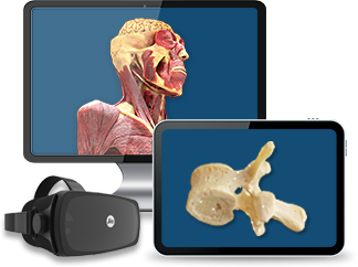 <b>Mozaik STUDENT</b>