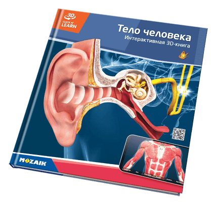 800 3D үлгүсү бар 20 китеп.