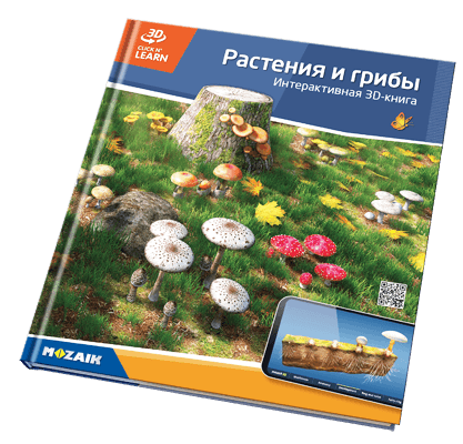 800 3D үлгүсү бар 20 китеп.