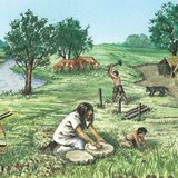 Содержание домашних животных в древности