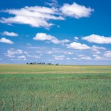 Большая Венгерская низменность (Альфёльд)