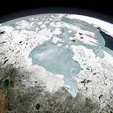 The North Pole ice cover in the Canadian region