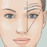 Eyebrows of various lengths