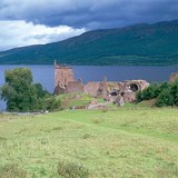 Свежий зелёный луг в зоне с океаническим климатом