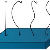 Исследование изгиба позвоночника