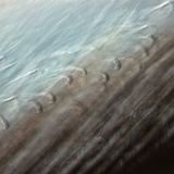 Fine structure of bird feather with interlocking barbules