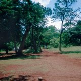 Тропическая латеритная почва в Мексике