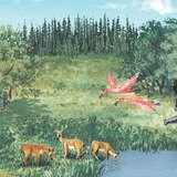 Жизнь в миоценовую эпоху