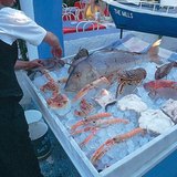 Если вы оказались в Греции, непременно попробуйте различные дары моря