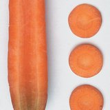 Longitudinal section and cross sections of a carrot