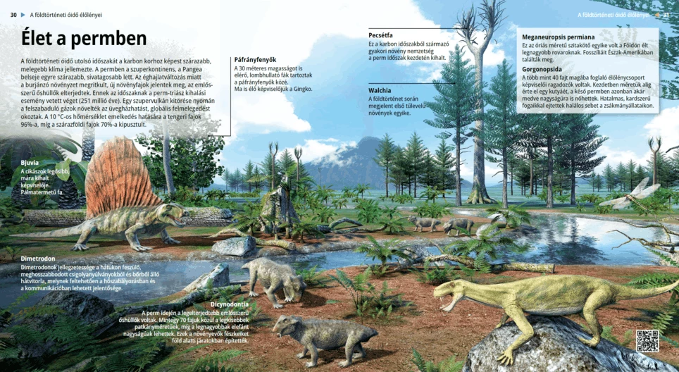 Жизнь в пермском периоде