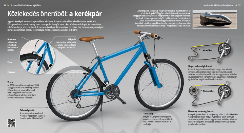 Транспорт на мускульной тяге: велосипед