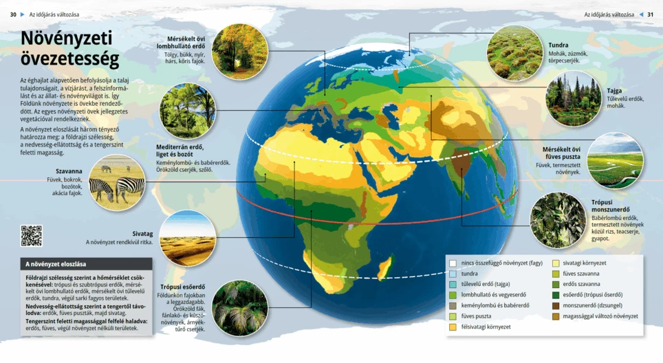 Зональность растительности