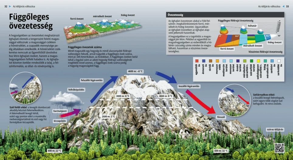 Высотная поясность