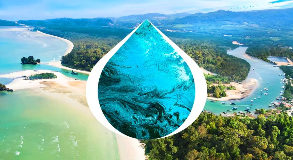 От истока до устья