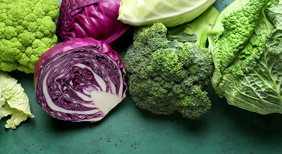 Семейство Капустные