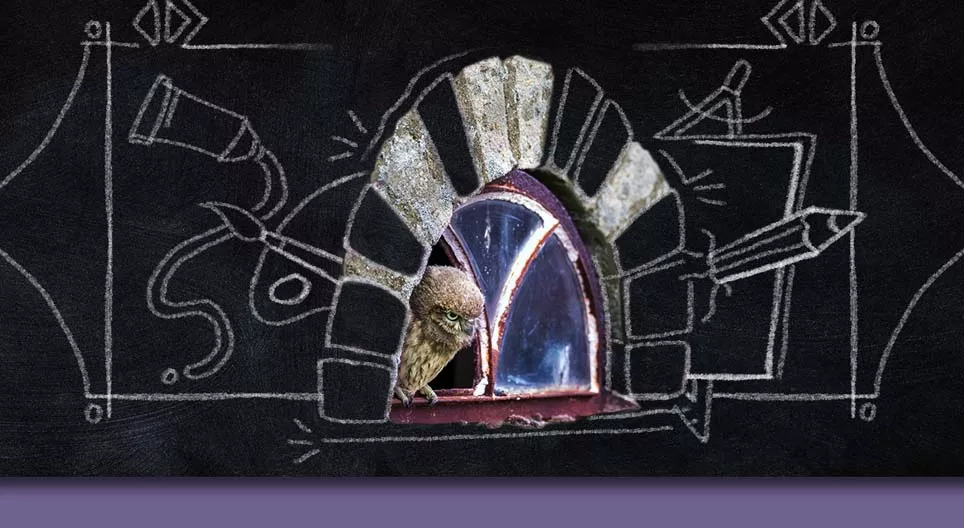 ВСЕ ЛИ ОКНА ОДИНАКОВЫ?