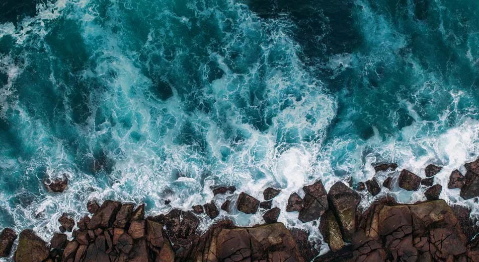 Какие движения воды характерны для Мирового океана?