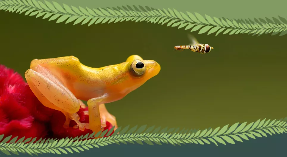 Позвоночные или беспозвоночные?