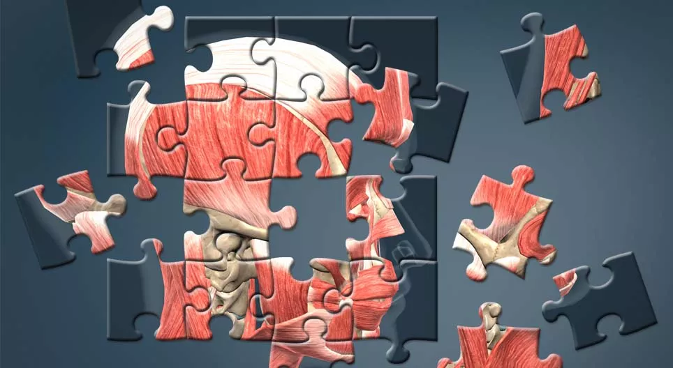 Давайте создадим человека!