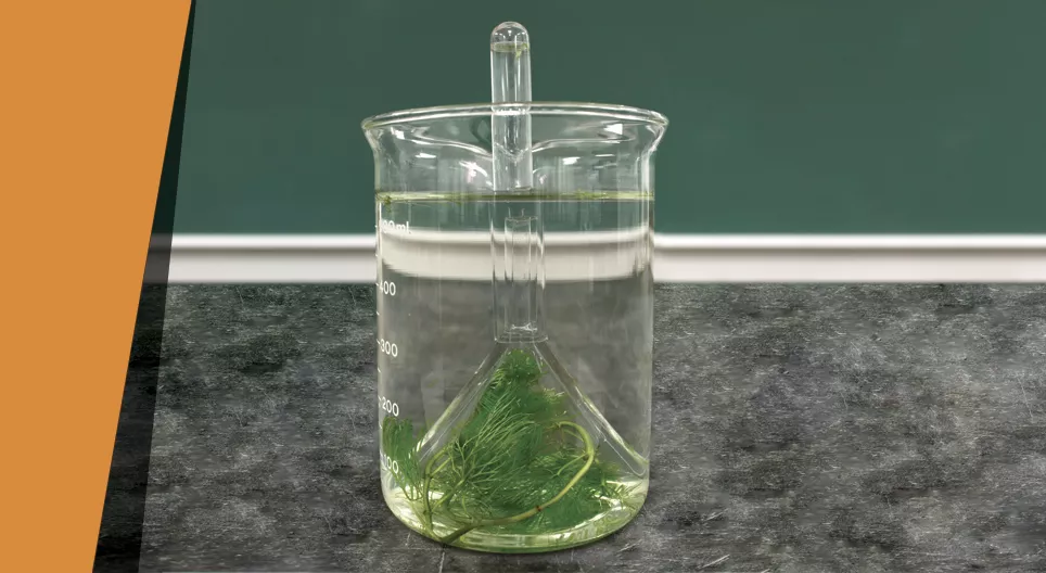 Самодельный кислород