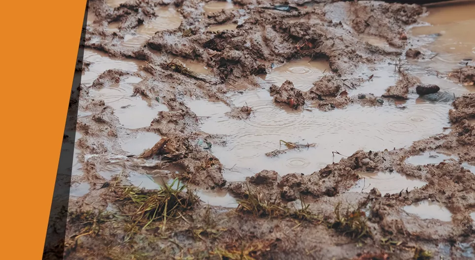 Самодельный очиститель воды